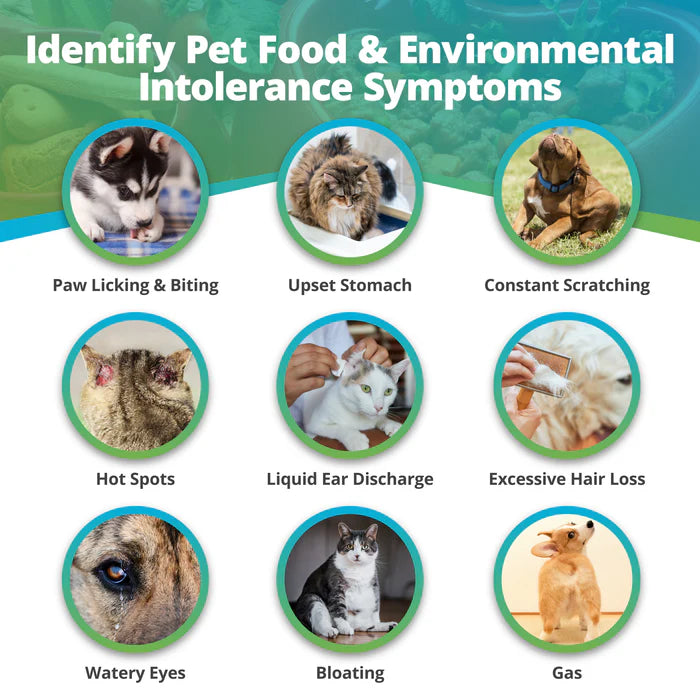 Food & Environmental Intolerance Test - For Pets