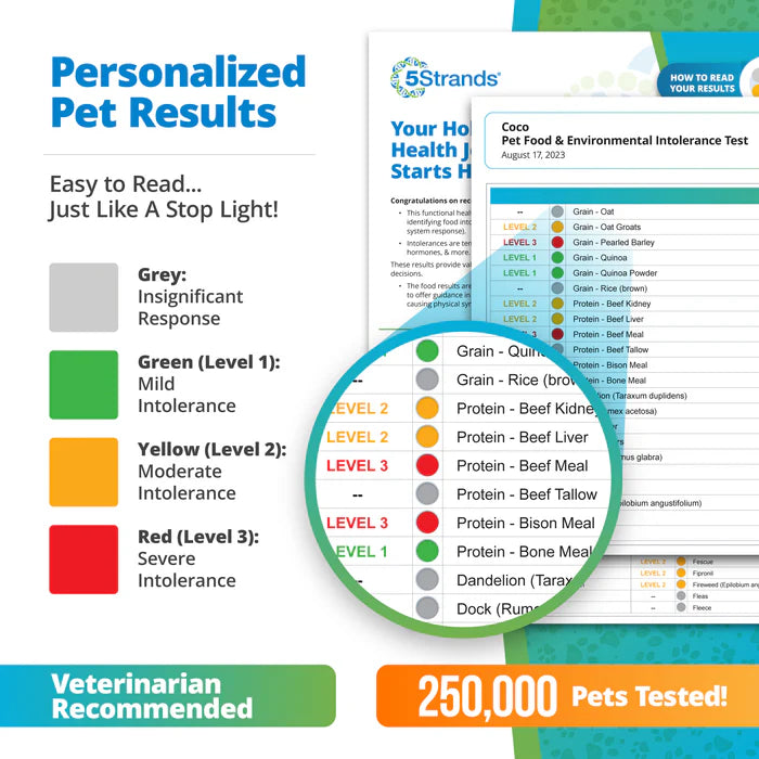 Food & Environmental Intolerance Test - For Pets