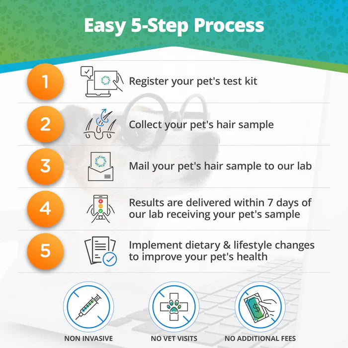 Food & Environmental Intolerance Test - For Pets