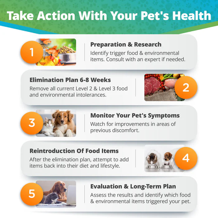 Food & Environmental Intolerance Test - For Pets