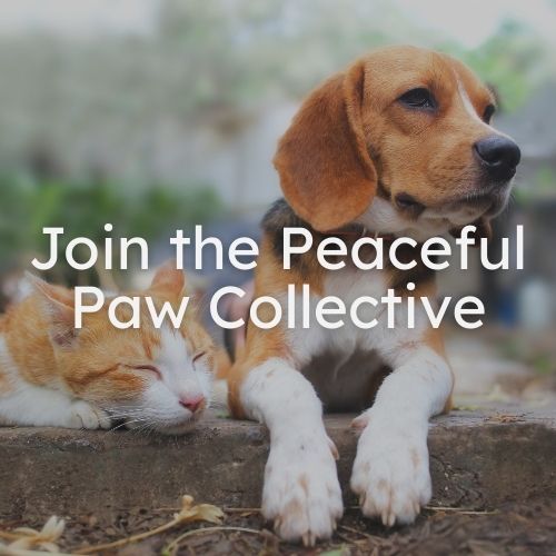 The Peaceful Paws Collective - Annual