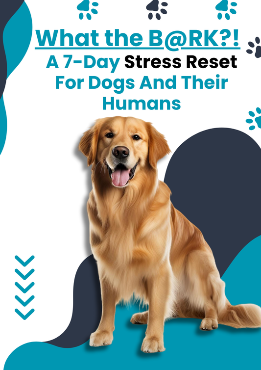 7 Day Stress Reset Plan