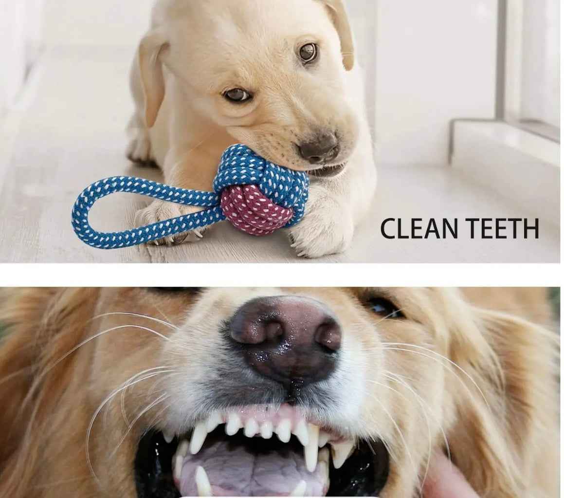 Braided rope, knotted ball chew toy cleans your dog's teeth naturally and effectively. 
