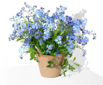 Plantable, Forget Me Not Pencil.