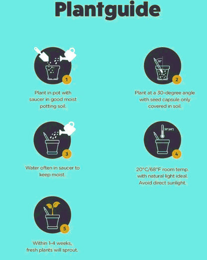 Plantable, Forget Me Not Pencil.