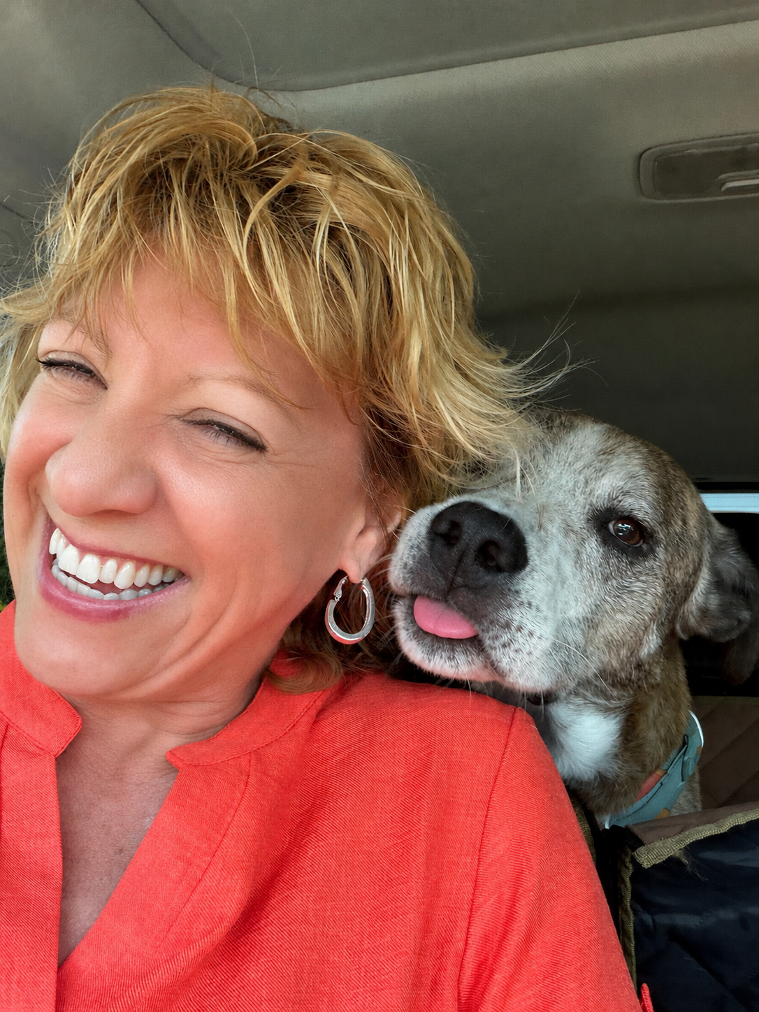 Main view of a dog behavior consultation service advertisement.