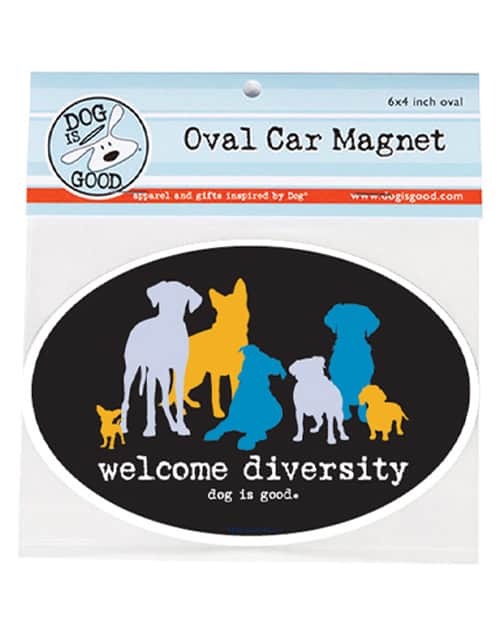 Welcome Diversity Oval Magnet